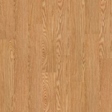 Shaw Floors Resilient Residential Partridge Plus Plank Dutch 00220_FR262