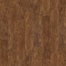Shaw Floors Resilient Residential Partridge Plus Plank Spice Box 00355_FR262