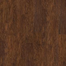 Shaw Floors Resilient Residential Partridge Plus Plank Foundry 00450_FR262