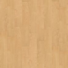 Shaw Floors Resilient Residential Blithe 12 Selection 00225_FR547