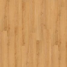 Shaw Floors Resilient Residential Blithe 12 Preference 00241_FR547