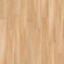 Shaw Floors Resilient Residential Elated 12 Warmths 00343_FR550
