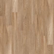 Shaw Floors Resilient Residential Elated 6 Emotion 00235_FR551