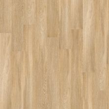 Shaw Floors Resilient Residential Elated 6 Warmths 00343_FR551