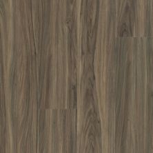 Shaw Floors Resilient Residential Eterna Click Tempo 00150_FR597