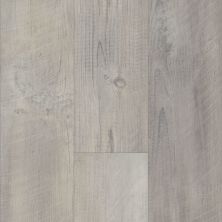 Shaw Floors Resilient Residential Bainfield Pine Click Reclaimed Pine 00166_FR602