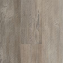 Shaw Floors Resilient Residential Bainfield Pine Click Salvaged Pine 00554_FR602