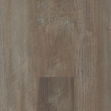 Shaw Floors Resilient Residential Bainfield Pine Click Antique Pine 05006_FR602
