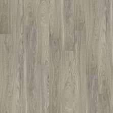 Shaw Floors Resilient Residential Sienna Vista Plus Palace 00508_FR613