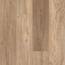 Shaw Floors Resilient Residential Virginia Trail HD Plus Foresta 00282_FR614