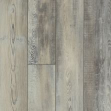 Shaw Floors Resilient Residential Virginia Trail HD Plus Calcare 00598_FR614