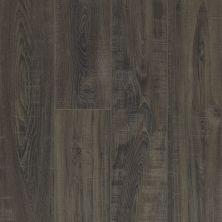 Shaw Floors Resilient Residential Virginia Trail HD Plus Onice 00903_FR614