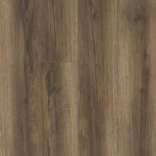 Shaw Floors Resilient Residential Travino Plus Cocco 00758_FR615