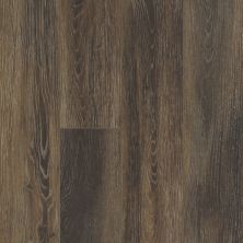Shaw Floors Resilient Residential Travino Plus Cacao 00779_FR615