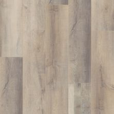 Shaw Floors Resilient Residential Northland Superior 7″ Plank High Point Oak 00753_FR704