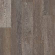 Shaw Floors Resilient Residential Northland Superior 7″ Plank Brevard Oak 00759_FR704