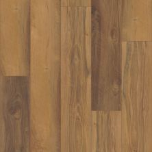 Shaw Floors Resilient Residential Northland Superior 7″ Plank Morehead Oak 00762_FR704