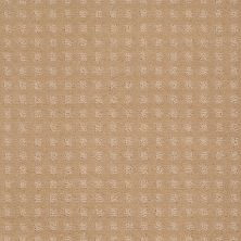 Shaw Floors Shaw Floor Studio Style With Ease Natural Grain 00103_FS150