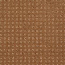 Shaw Floors Shaw Floor Studio Style With Ease Gold Coin 00202_FS150