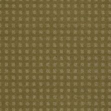 Shaw Floors Shaw Floor Studio Style With Ease Aloe 00300_FS150