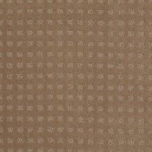 Shaw Floors Shaw Floor Studio Style With Ease Perfect Beige 00703_FS150