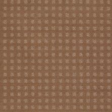 Shaw Floors Shaw Floor Studio Style With Ease Townhouse Taupe 00705_FS150