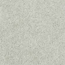 Shaw Floors Shaw Floor Studio Around The House III Crystal Blue 00402_FS194
