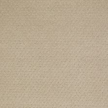 Shaw Floors Shaw Floor Studio Life Lessons Wool Skein