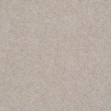 Shaw Floors Shaw Floor Studio Step Right Up I 12′ Almond Bark 00106_FS230