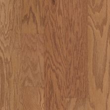 Shaw Floors Fischer Homes Blackbrook Caramel 00223_FSH35
