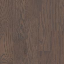Shaw Floors Fischer Homes Blackbrook Weathered 00543_FSH35