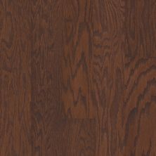 Shaw Floors Fischer Homes Blackbrook Hazelnut 00874_FSH35
