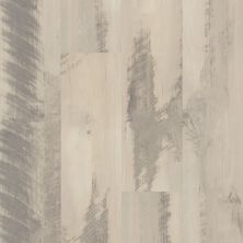 Shaw Floors Fischer Homes Fount Square Gray Barnwood 00142_FSH50