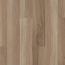 Shaw Floors Resilient Residential Gm100 Almond Oak 00154_GM100