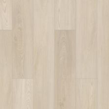 Shaw Floors Resilient Residential Gm100 Silver Dollar 01055_GM100
