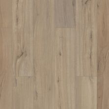 Shaw Floors Resilient Residential Gm100 Driftwood 01056_GM100