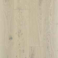 Shaw Floors Richmond American Homes Addison Oak Knight 01075_HA075