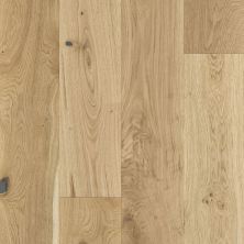 Shaw Floors Richmond American Homes Addison Oak Dynasty 02047_HA075
