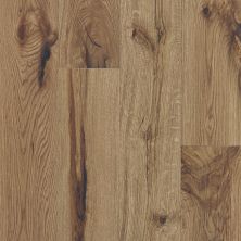 Shaw Floors Richmond American Homes Encore White Oak Primitive 01082_HA246