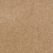 Shaw Floors Property Solutions Stonecrest II Butter Nut 00150_HF597