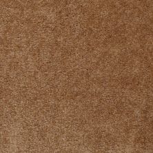 Shaw Floors Property Solutions Viper Classic Roasted Pecan 00201_HF862