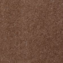 Shaw Floors Property Solutions Viper Classic Moccasin 00711_HF862