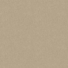Shaw Floors Home Foundations Gold Orchard Mill II 12′ Ivory Tint 55101_HG080