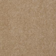 Shaw Floors Home Foundations Gold Spring Wood Satinbark 06143_HG206