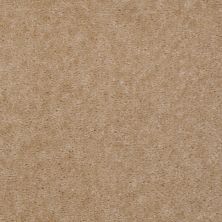 Shaw Floors Home Foundations Gold Warrior Classic Fawn’s Leap 00112_HGC80