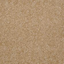 Shaw Floors Home Foundations Gold Time Frame Soft Gold 00250_HGE36