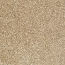 Shaw Floors Home Foundations Gold Time Frame Tweed 00700_HGE36
