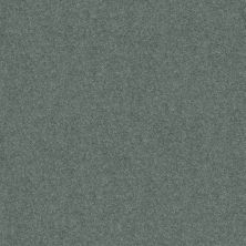 Shaw Floors Home Foundations Gold Traditional Allure 12′ Bahama Bay 00454_HGG67