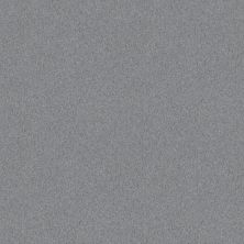 Shaw Floors Home Foundations Gold Traditional Allure 12′ Flannel 00511_HGG67