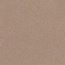 Shaw Floors Home Foundations Gold Traditional Allure 12′ Moccasin 00752_HGG67